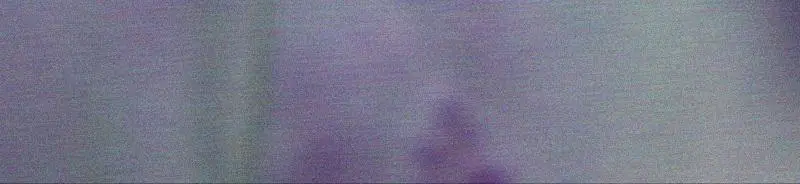 [끈적임 없는 보습오일] 탄 라벤더&로즈마리 배스&마사지 오일 295ml 상세페이지 2